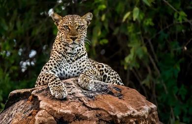 Aberdare National Park — photo 2