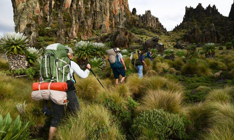 Aberdare National Park — photo 4