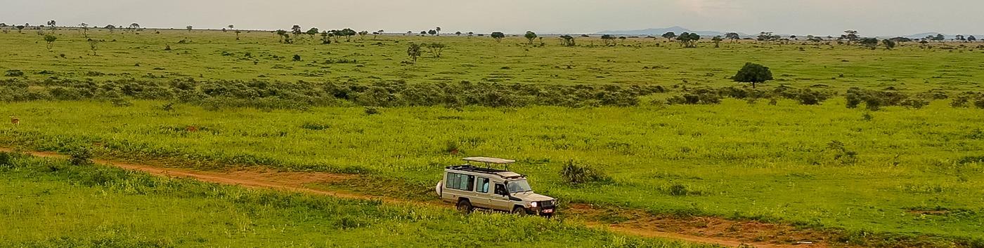 Meru National Park — photo 4