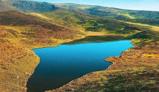 Mount Kenya Forest Reserve