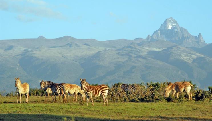 Mount Kenya National Park — photo 3