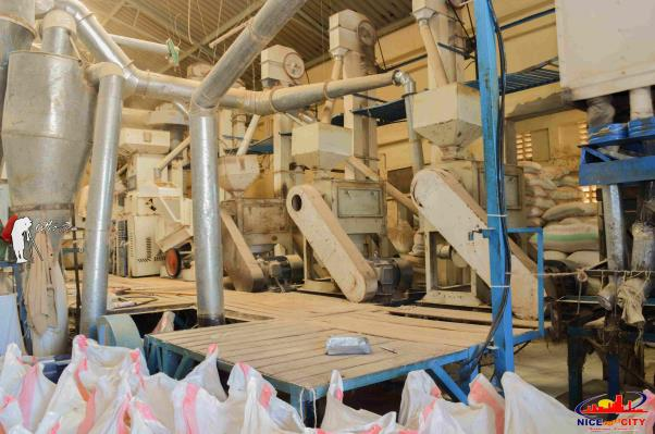 Mwea Irrigation Scheme — photo 3