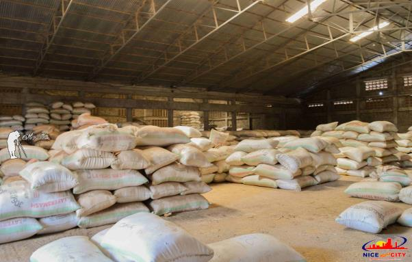 Mwea Irrigation Scheme — photo 4