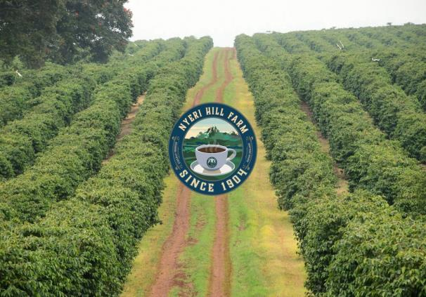 Nyeri Town — photo 2