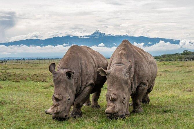 Ol Pejeta Conservancy
